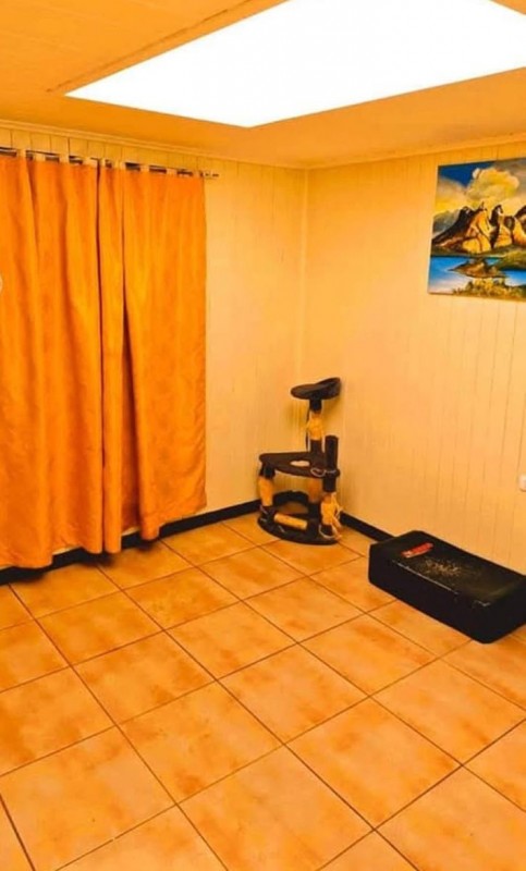 Hermosas Casas Principal E Interior 4D2B en Temuco !!!