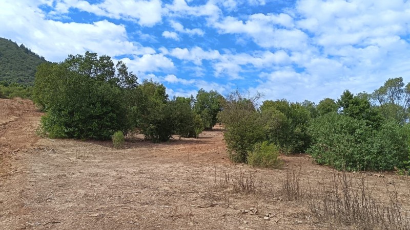 Parcela 5000M2 , en el Maule-Molina