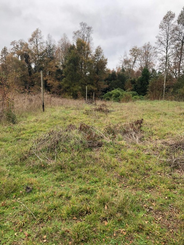 Parcela de 9.700M2 en Mafil