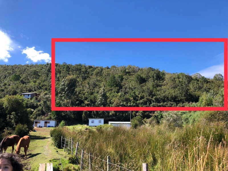 Campo de 7 Hectáreas en Mariquina