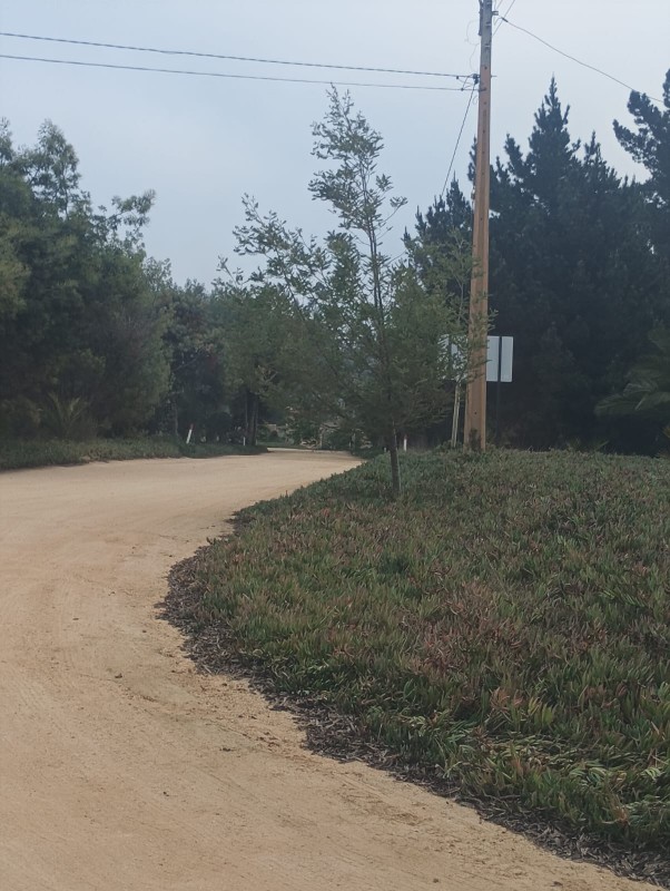 Oportunidad Gran Parcela de 5000M2 en Algarrobo