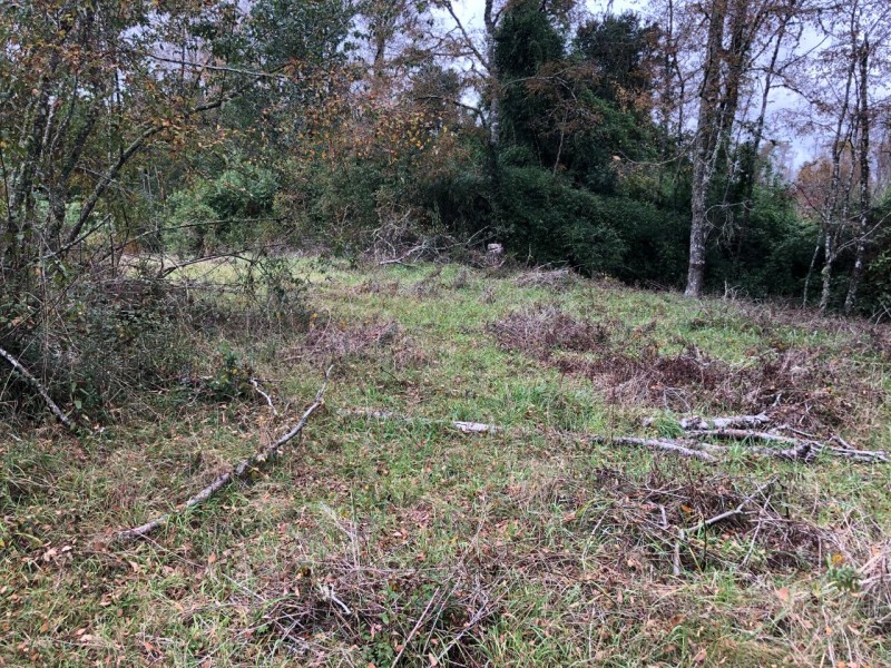 Parcela de 9.700M2 en Mafil