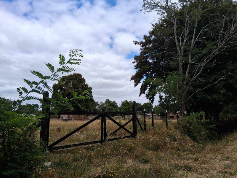 Gran Parcela de 5000M2 Con Casa en Paillaco