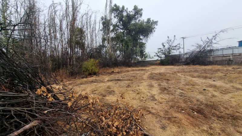 Oportunidad Gran Terreno de 1 Hectáera en la Pintana