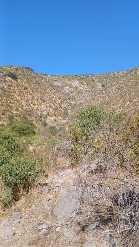 7,5 Hectareas, Parcela en Venta, Talagante!!!