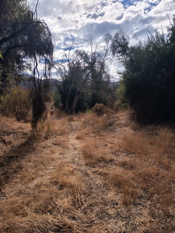 Parcela Con 5100M2 en Venta- Curacaví