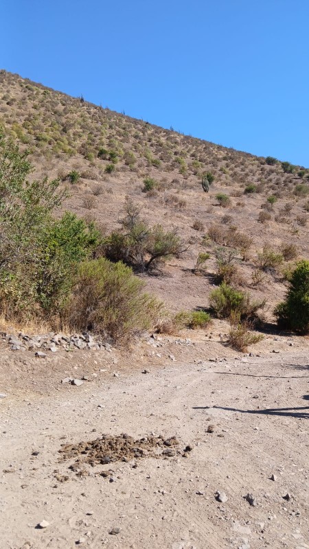 7,5 Hectareas, Parcela en Venta, Talagante!!!
