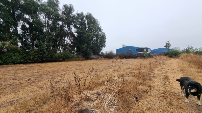 Oportunidad Gran Terreno de 1 Hectáera en la Pintana