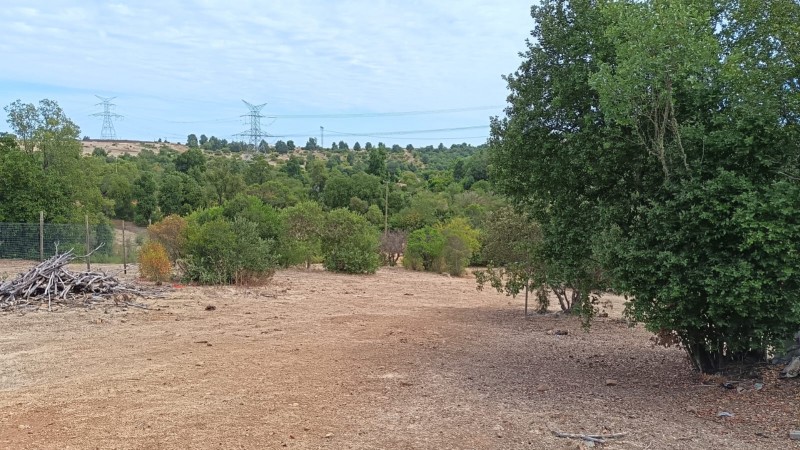 Parcela 5000M2 , en el Maule-Molina