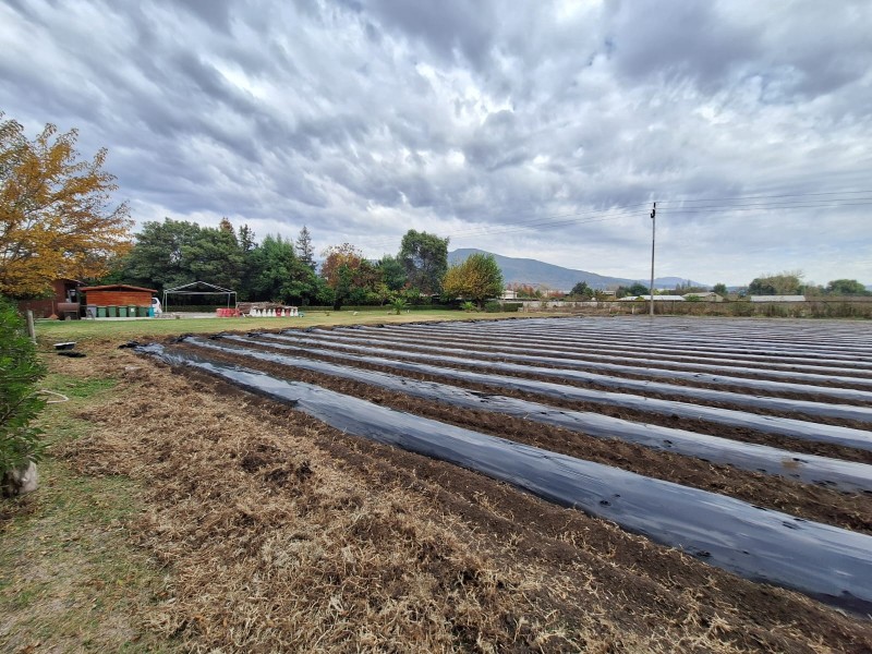 Parcela Urbana 11.100M2 en Paine|3 Casas|