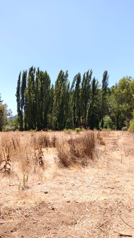 Se Vende Parcela de 4,2 Hectareas Con Casa 3D1B!!!