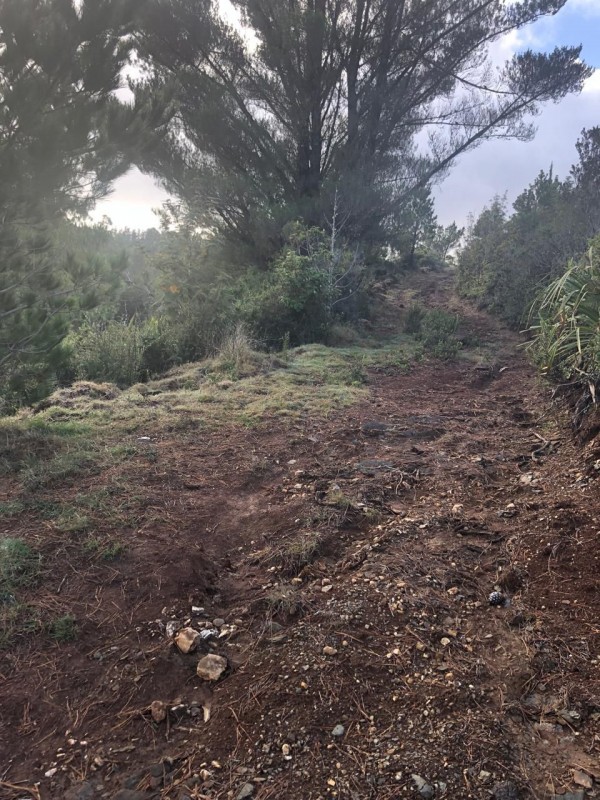 Gran Oportunidad de Parcelas en Valdivia