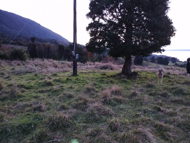 Terreno Vista Panoramica Lago Rupanco