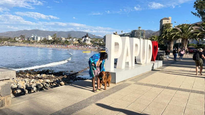 Hermoso Dpto Con Vista Parcial Al Mar. 2D2B+E+B