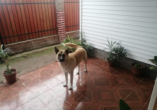 Oportunidad!! Casa Rebajada en Codigua 2D3B