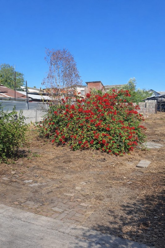 Sitio Urbano en Venta 390M2 - Padre Hurtado