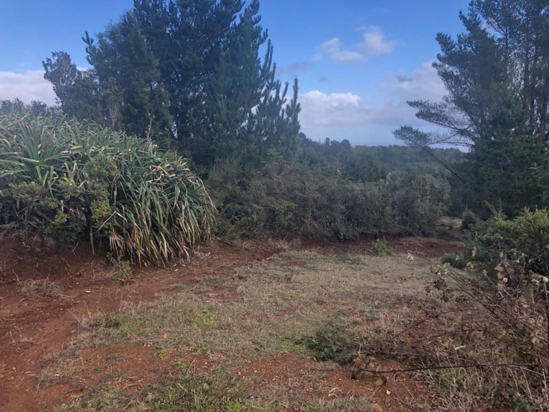 Gran Oportunidad de Parcelas en Valdivia
