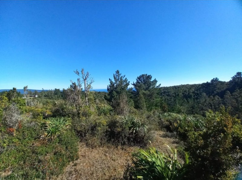 Gran Oportunidad de Parcelas en Valdivia