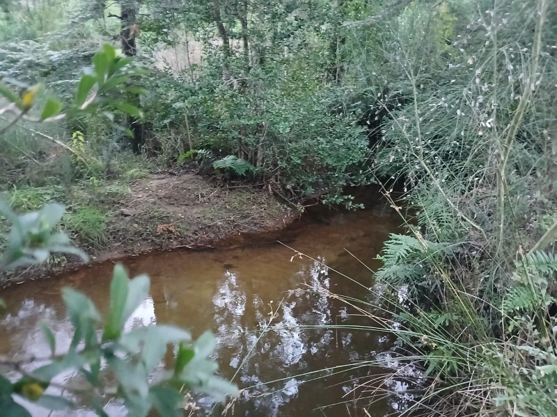 Parcela de 5000M2 4D2B