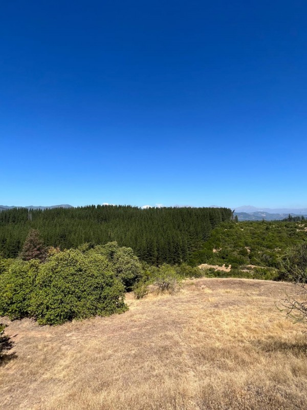 Gran Terreno 13086M2