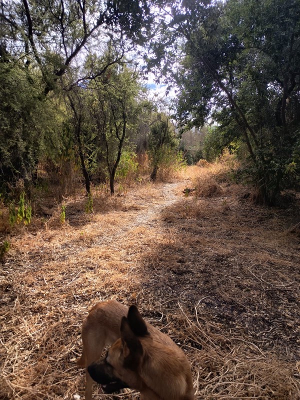 Parcela Con 5100M2 en Venta- Curacaví