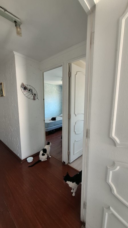 Hermoso Dpto 3D2B en Ñuñoa!!!