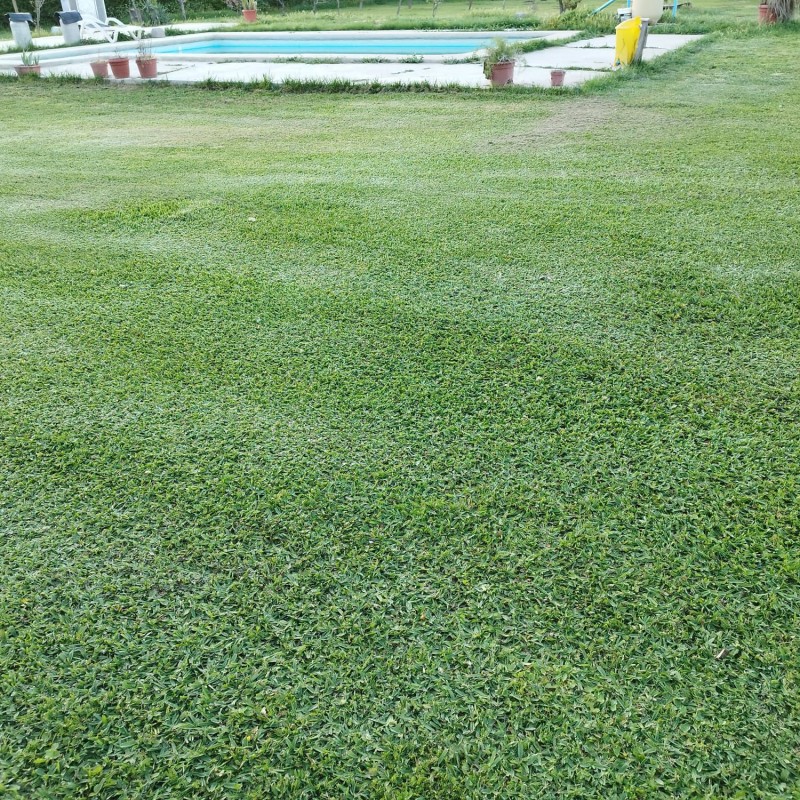 Hermosa Parcela 8D5B en Curacavi