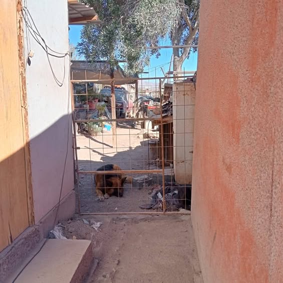 Amplio Terreno en Zona Urbana