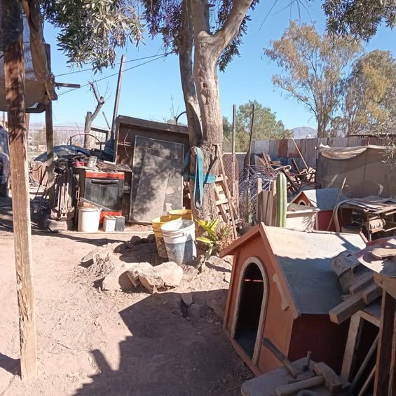 Amplio Terreno en Zona Urbana