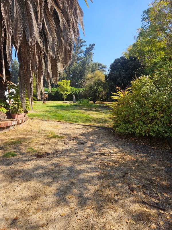 Arriendo Hermosa Casa en Entorno Campestre Carampangue