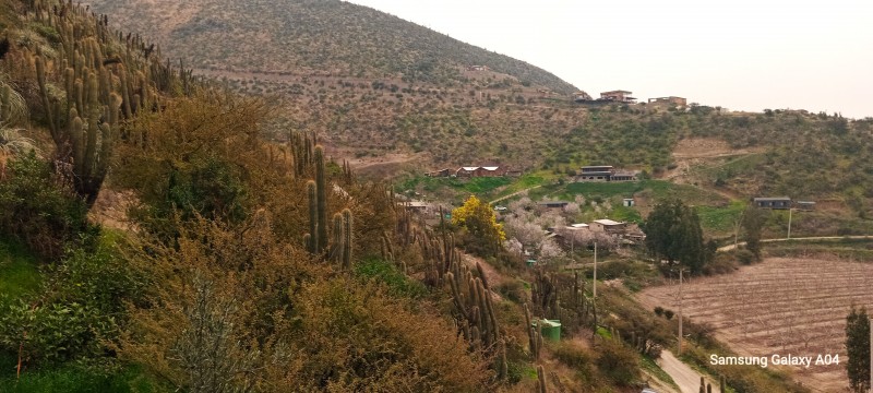 Arriendo Hermosa Casa en Calera de Tango