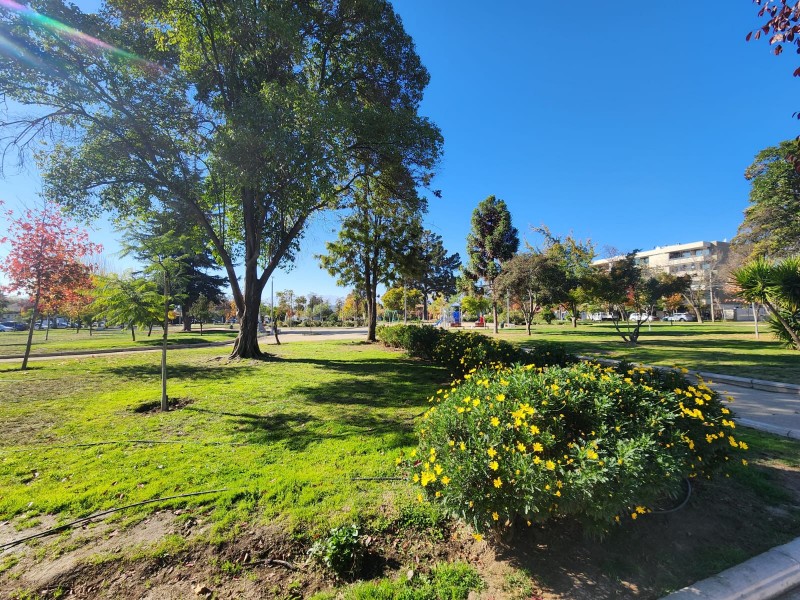 Arriendo de Departamento en Condominio Plaza de Triana