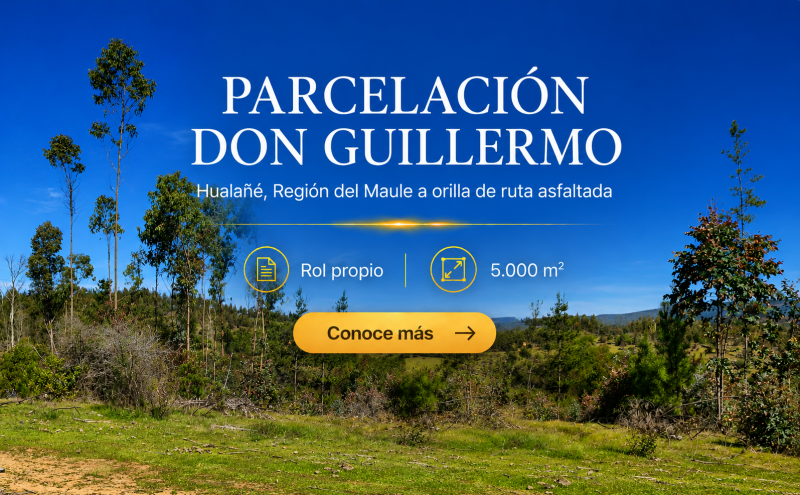 Parcelas en Hualañé a orilla de ruta asfaltada | Oferta