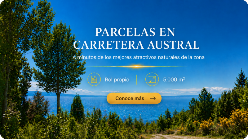 Parcelas vista al mar carretera austral buen acceso con rol