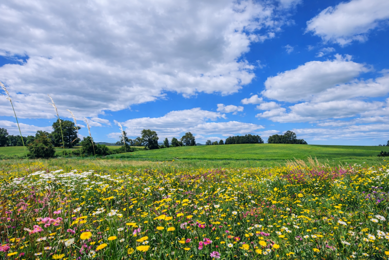 Liquidación| Frutillar | A Minutos del Centro y Lago |Oferta