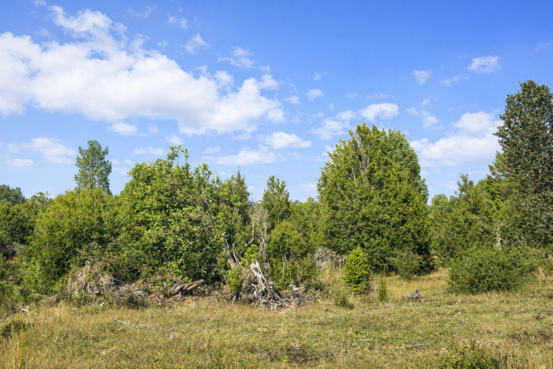 Parcelas en Ruta 5|A Media Hora Puerto Montt|Agua y Luz |Rol