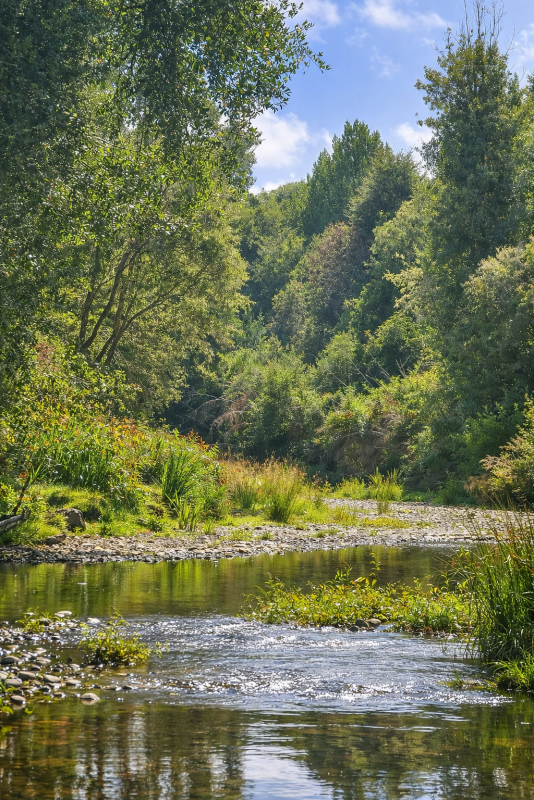Parcelas en Ruta 5|A Media Hora Puerto Montt|Agua y Luz |Rol