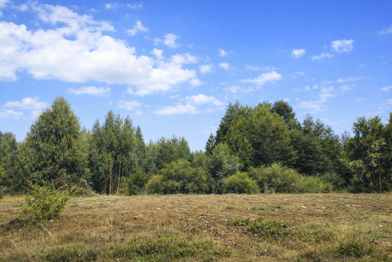 Parcelas en Ruta 5|A Media Hora Puerto Montt|Agua y Luz |Rol