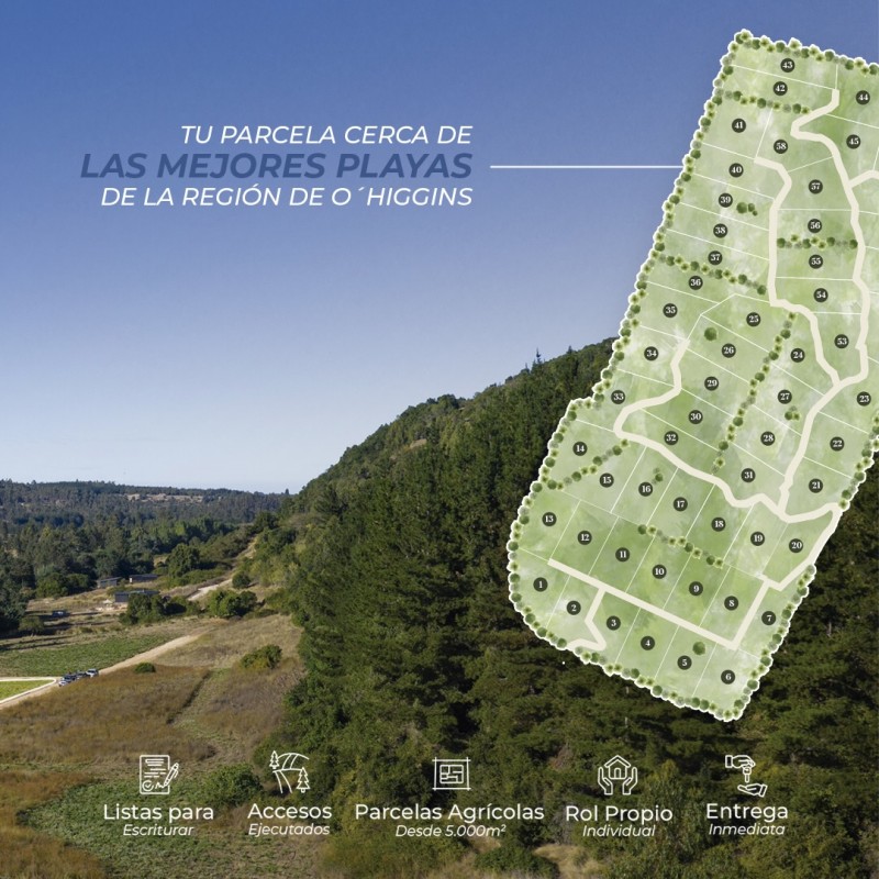 Lomas de Puertecillo | Parcelas A 25 Minutos de Playa