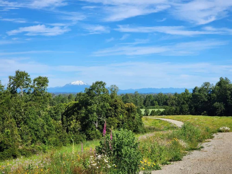 Liquidación| Frutillar | A Minutos del Centro y Lago |Oferta