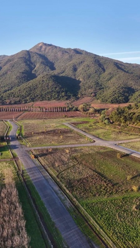 Parcelas Planas | Curicó | Región del Maule | A Min. Centro