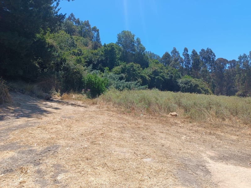 Lomas de Puertecillo | Parcelas A 25 Minutos de Playa