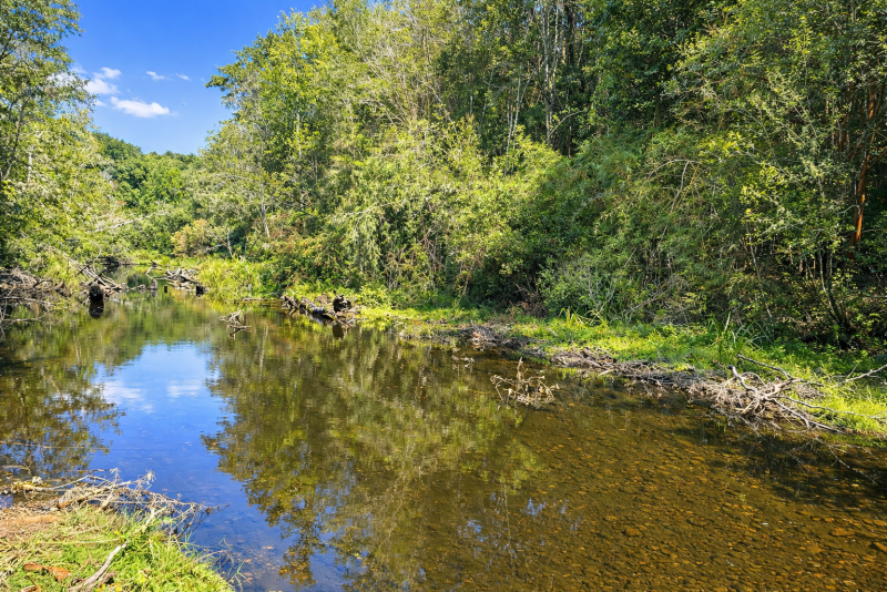 Parcelas en Ruta 5|A Media Hora Puerto Montt|Agua y Luz |Rol