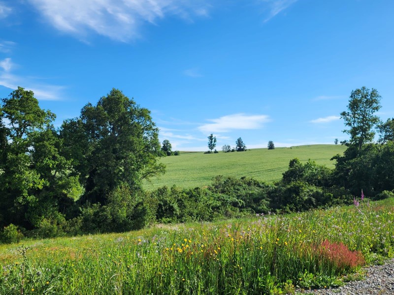 Liquidación| Frutillar | A Minutos del Centro y Lago |Oferta