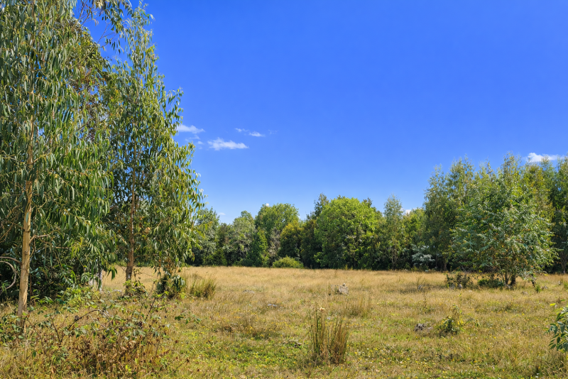 Parcelas en Ruta 5|A Media Hora Puerto Montt|Agua y Luz |Rol