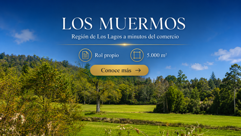 Parcelas en los Muermos con acceso a río a minutos comercio