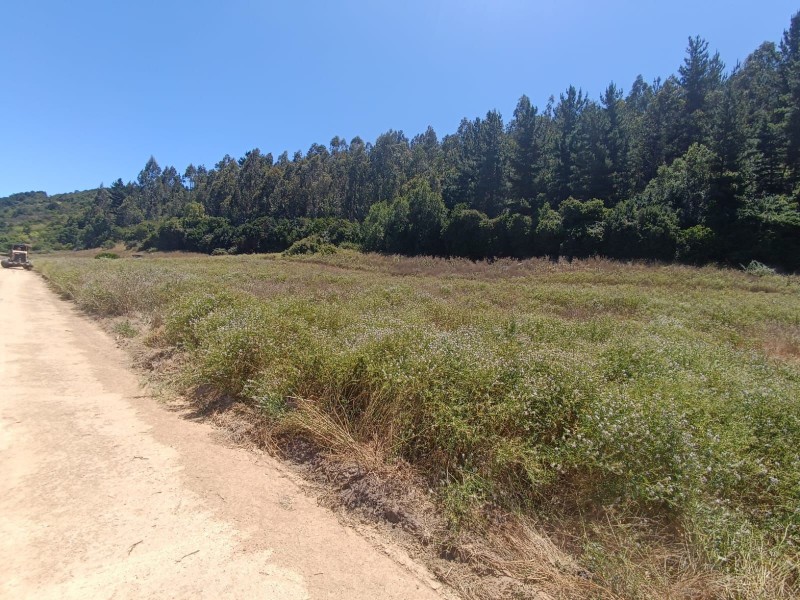 Lomas de Puertecillo | Parcelas A 25 Minutos de Playa
