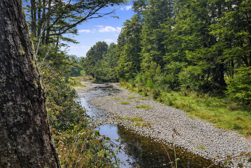 Parcelas en Ruta 5|A Media Hora Puerto Montt|Agua y Luz |Rol