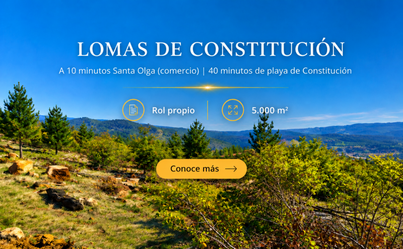 Oferta|Parcelas a minutos de Constitución y Río Maule