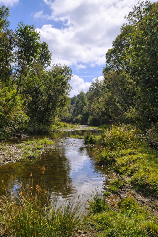 Parcelas en Ruta 5|A Media Hora Puerto Montt|Agua y Luz |Rol